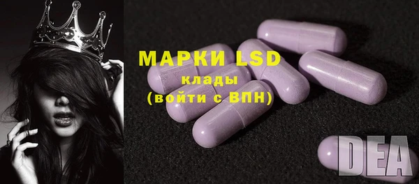 ГАЛЛЮЦИНОГЕННЫЕ ГРИБЫ Сясьстрой
