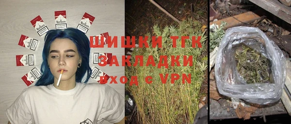 стафф Бородино
